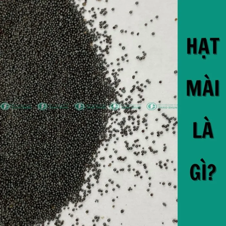Hài mài mòn là gì
